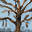 Witcher 3 location Velen
